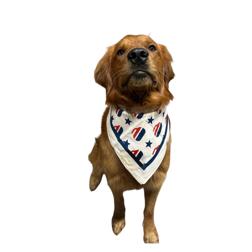 Curling Multi-Use Bandana